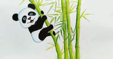 Panda Masalı